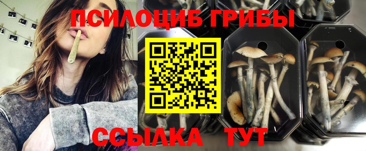 Псилоцибиновые грибы ЛСД Минеральные Воды