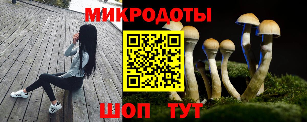 Минеральные Воды  Галлюциногенные грибы Psilocybe  Вход с VPN  Галлюциногенные грибы GOLDEN TEACHER 